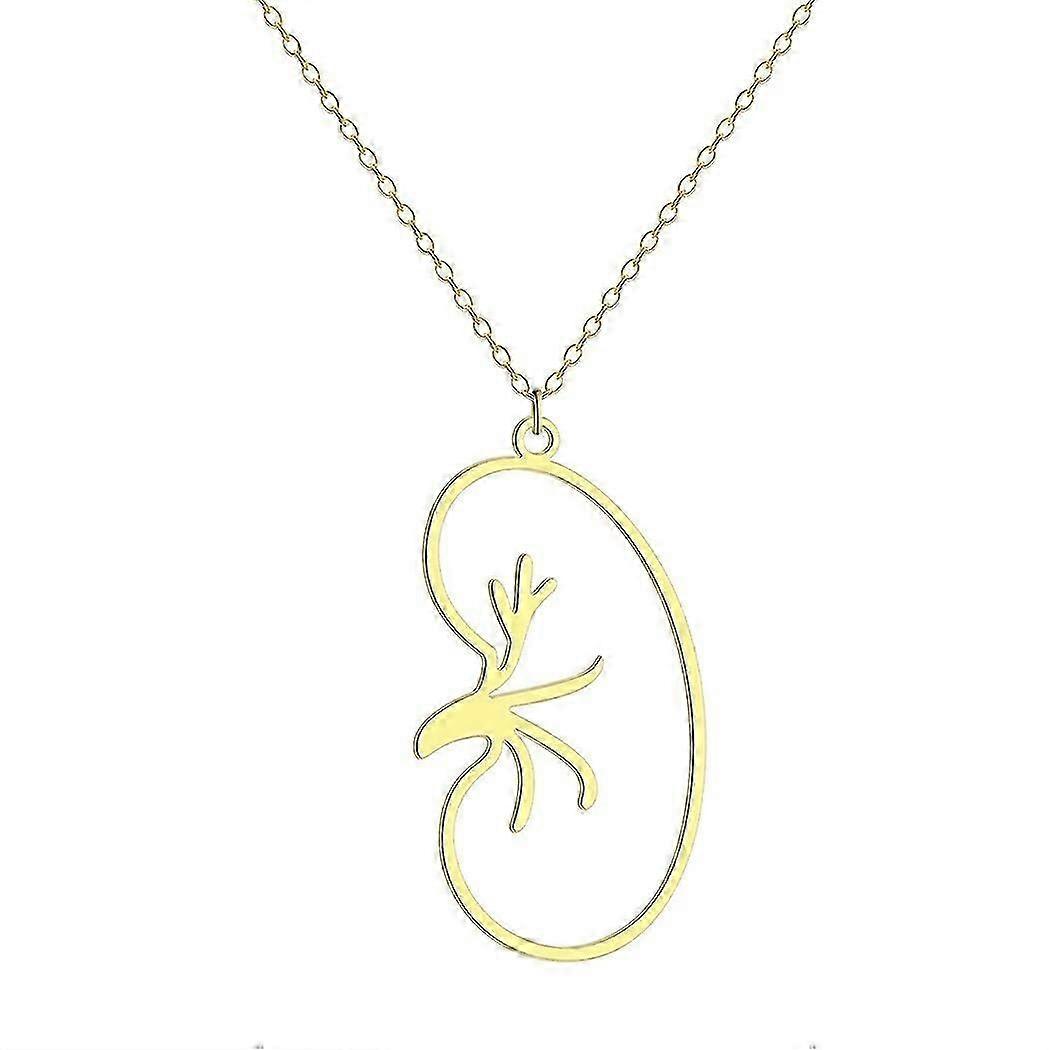 ステンレス鋼腎臓医療ペンダントネックレス医学解剖学人体臓器ジュエリー医師看護師ギフトチョーカー