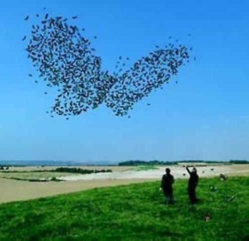 Butterflies amp Hurricanes [DVD AUDIO] DVD - Region 2