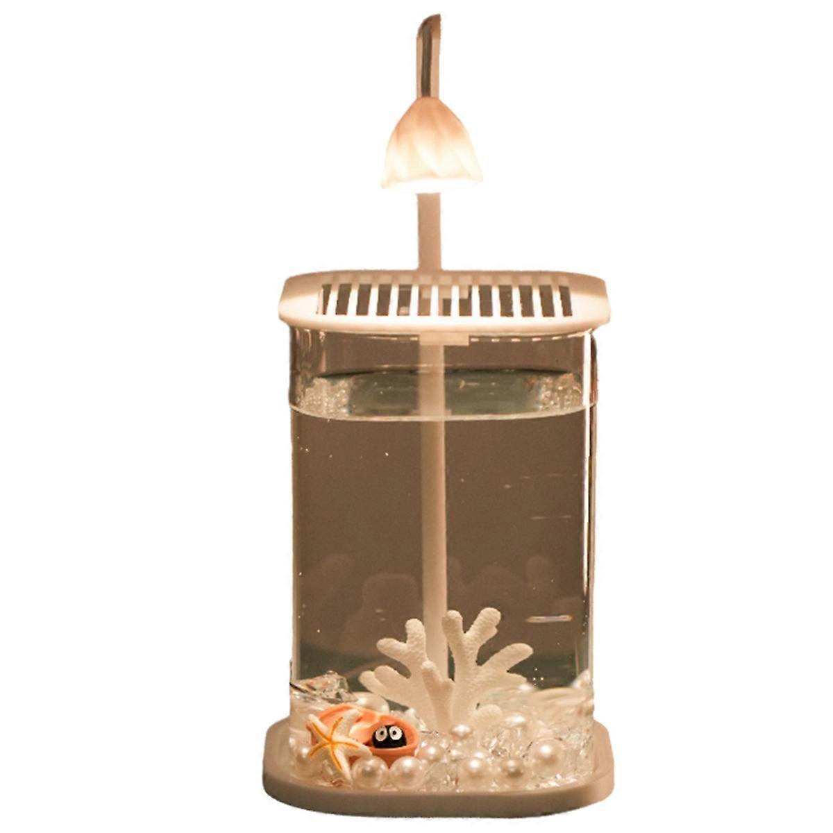 Mini aquarium en verre de bureau avec lumière LED Bureau B