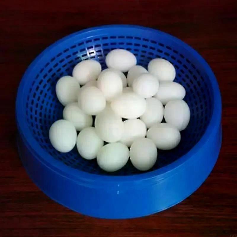 Xxfa 5pcs Artificial Bird Eggs Solid Parrot Plastic Eggs For Parrotlet For Dov