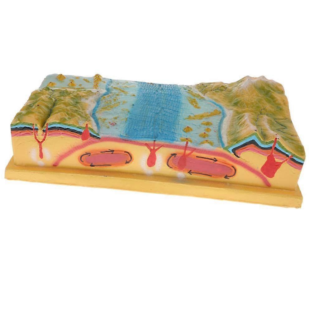 Plate Tectonics Model with Clear Tectonic Visualization for Earth Science and Geography Teaching Aid
