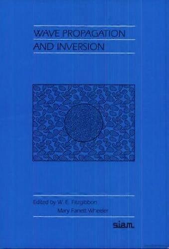 Wave Propagation and Inversion