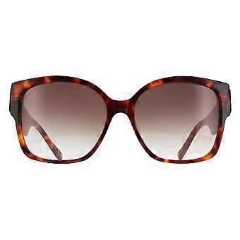 Ted Baker Sunglasses TB1767 Linia 100 Gloss Classic Tortoise Brown Gradient