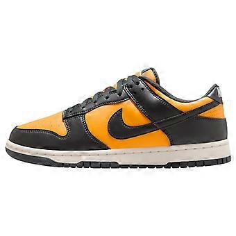Nike Dunk Low Retro Sundial Antrasitt HF5441-700