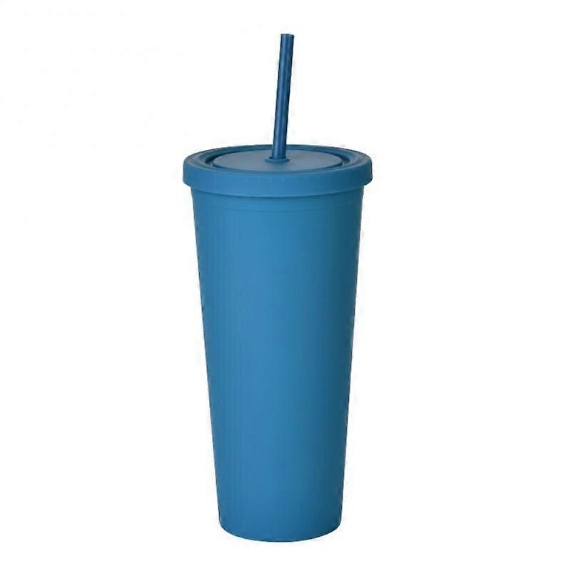 24oz Double-layer Plastic Water Bottle Straw Cup With Lid Reusable Personalized Drinkware