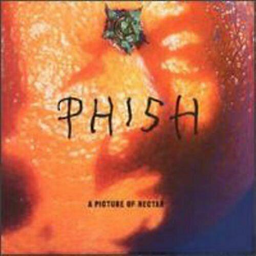 A Picture of Nectar CD (1997)