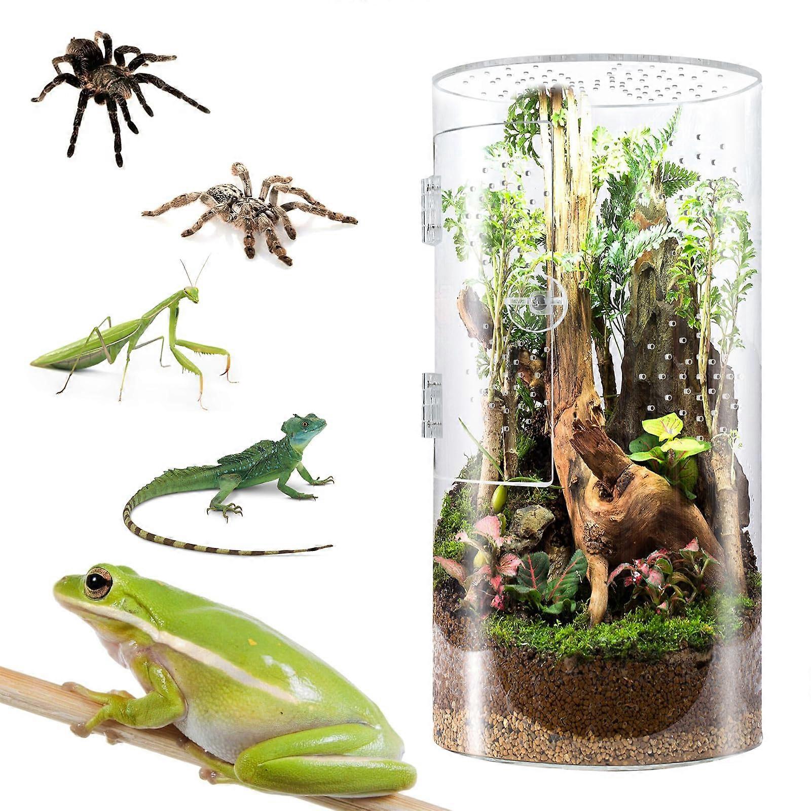 Front Opening Terrarium Jumping Spider Enclosure,Tall Arboreal Tarantula Enclosure (12 6 6inch)
