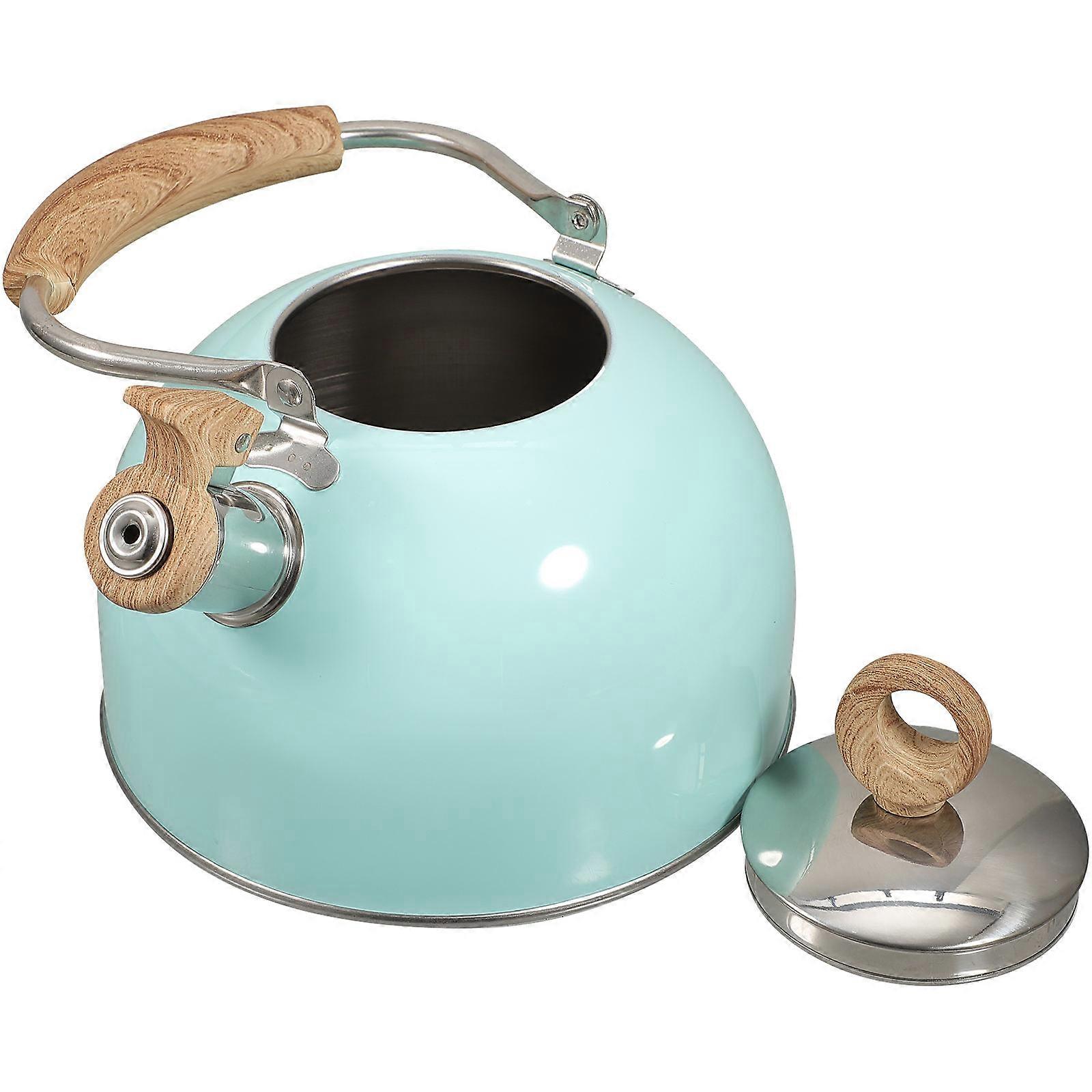 Stainless Steel Kettle Whistling Pot Household Pot For Home Use 2.5L Blue Heat-resistant Bottom 1Set
