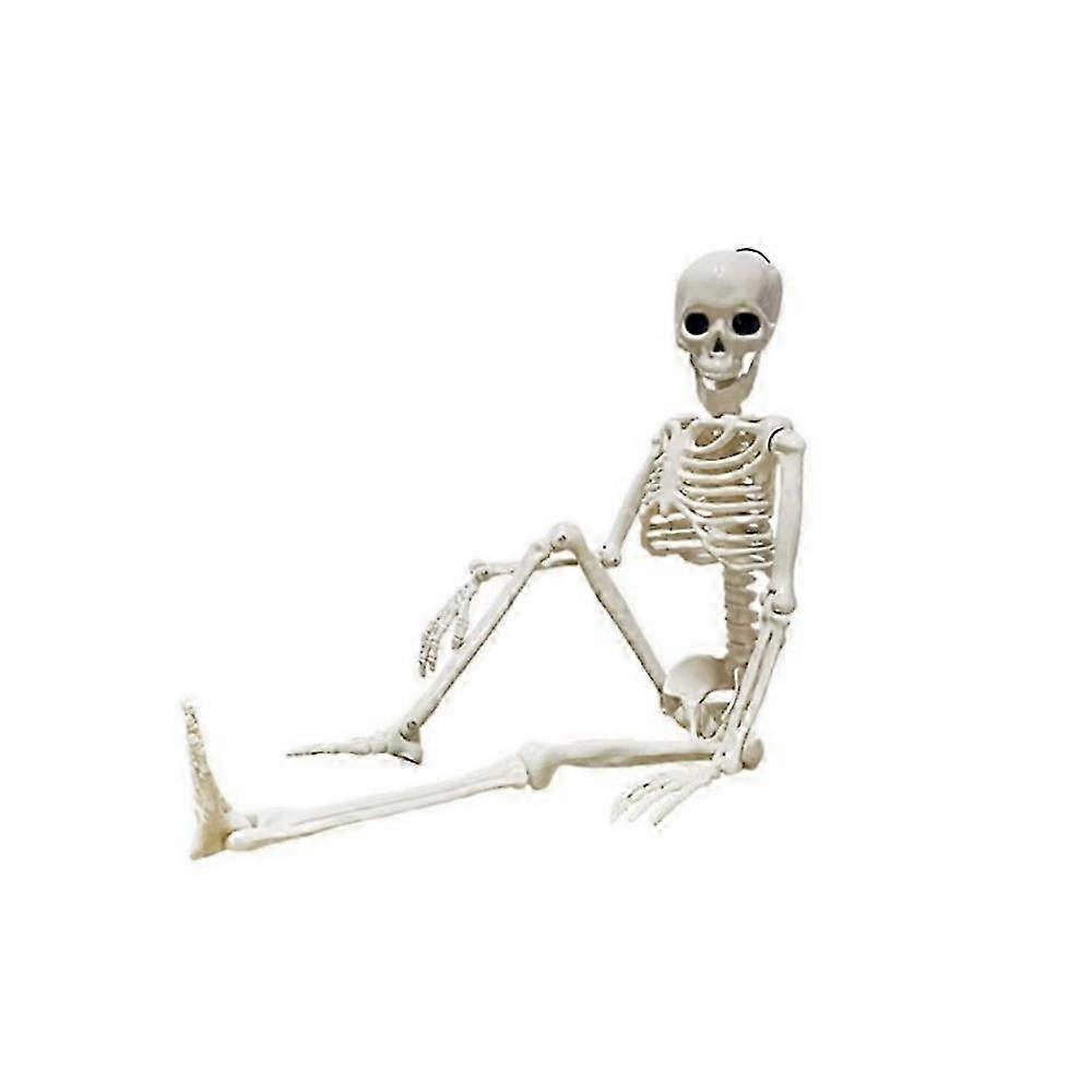 Life Size Halloween Skeleton Decor for Party, Haunted House and Display