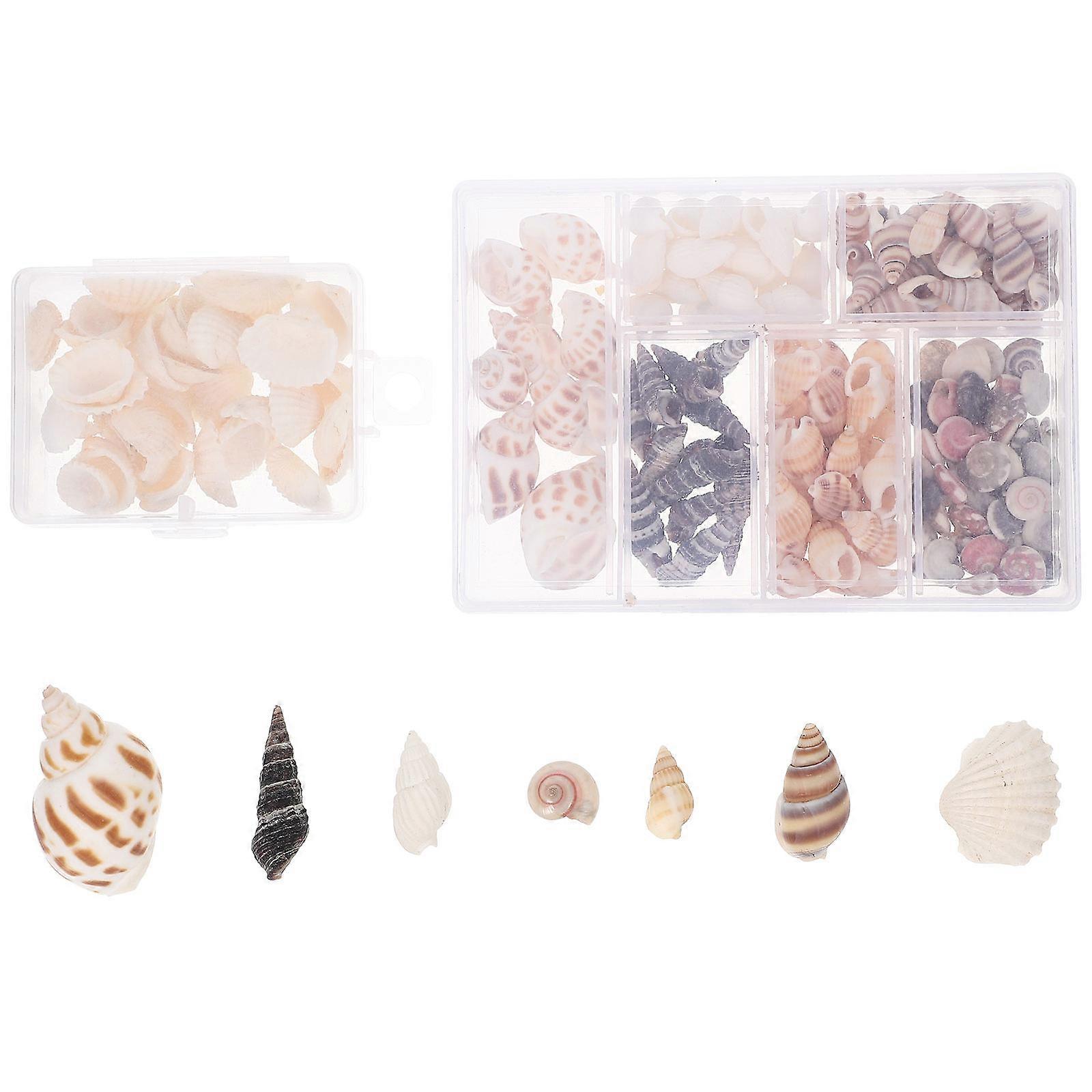 Assorted Color Natural Shells Decoration for DIY Craft Material 2 Boxes