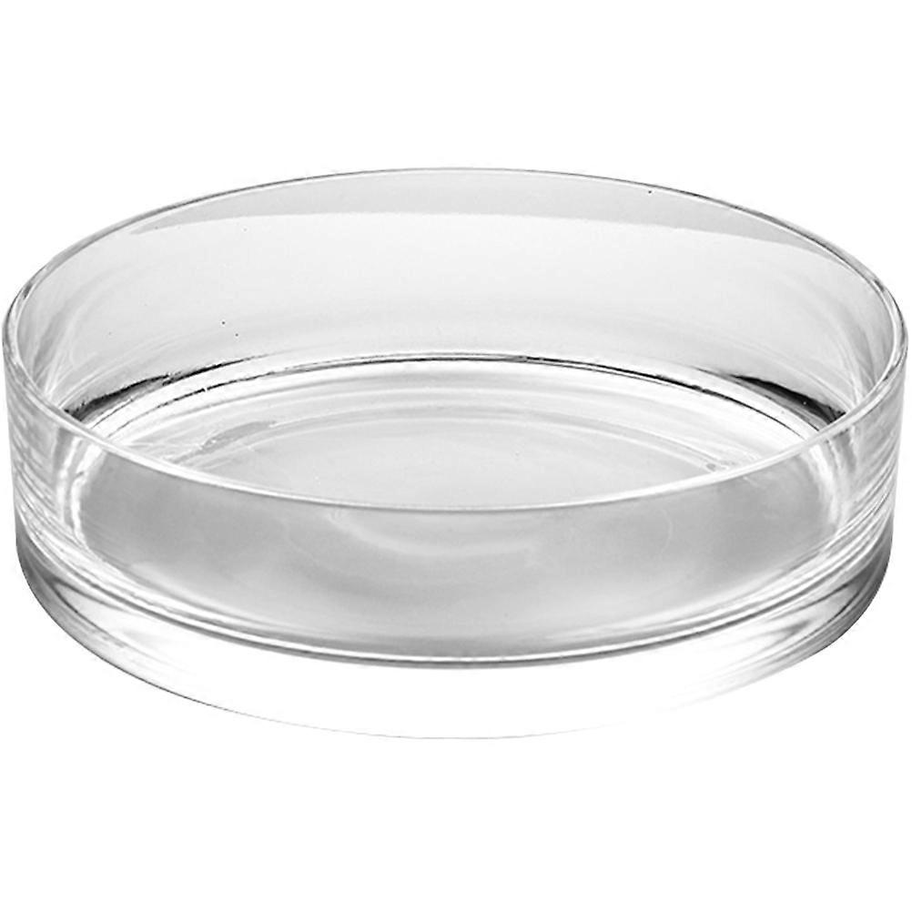 Glass Decorative Vase Planter for Storage Use 2Pcs