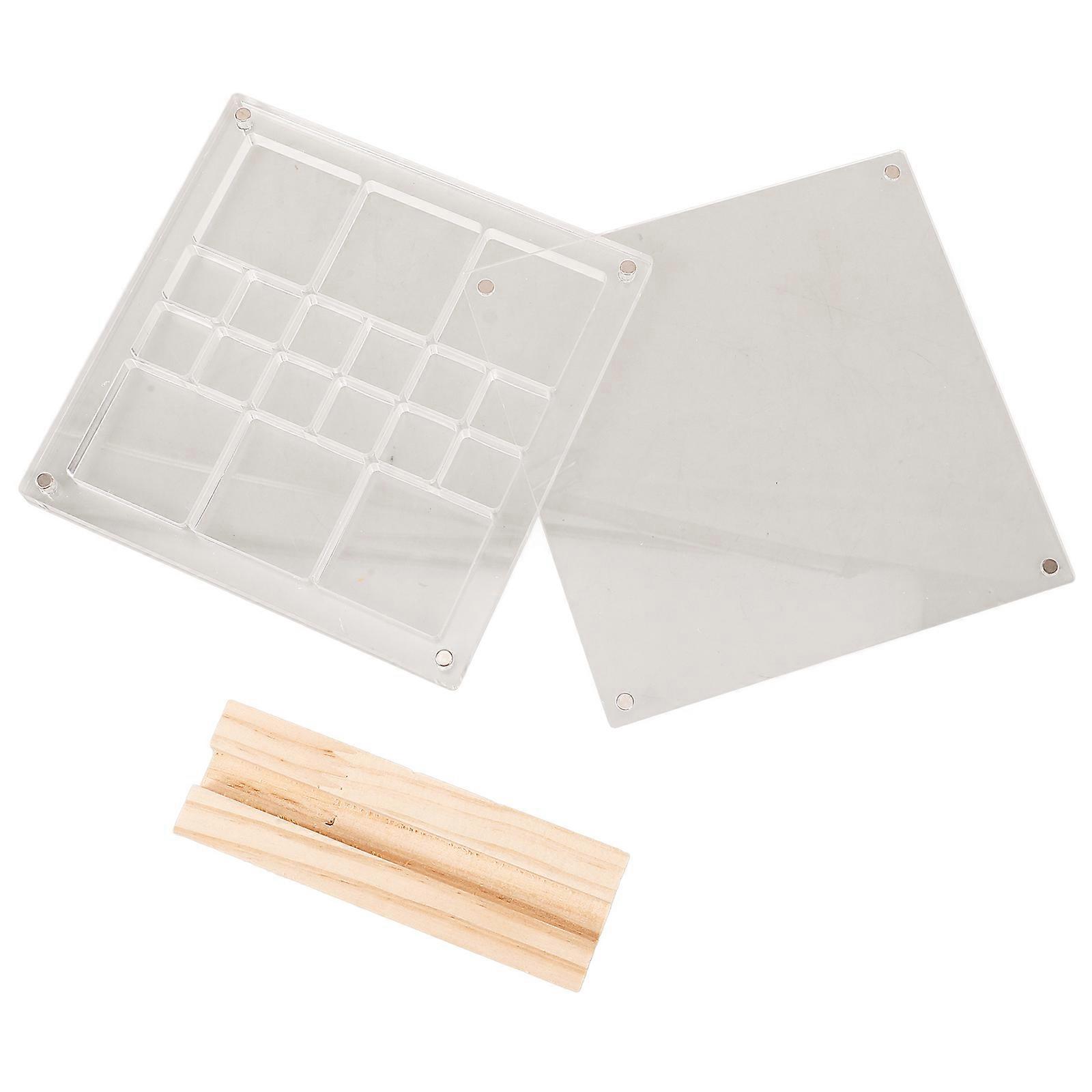 Acrylic Shell Display Box Elegant Design for Home Decor Desk Organization Clear Box for Small Item Storage 1Set