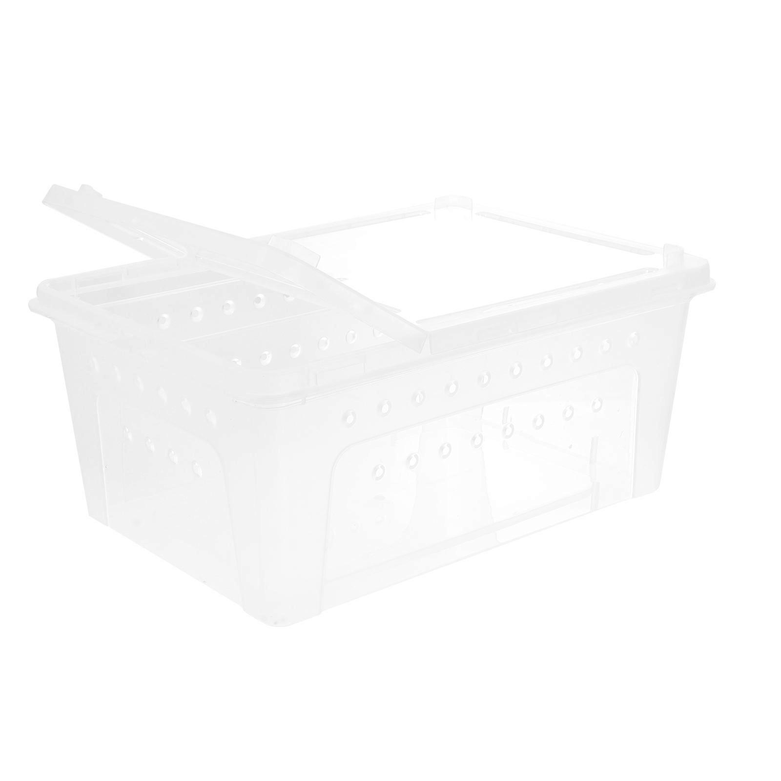 Plastic Transparent Reptile Box for Storage 4Pcs Feeding and Breeding