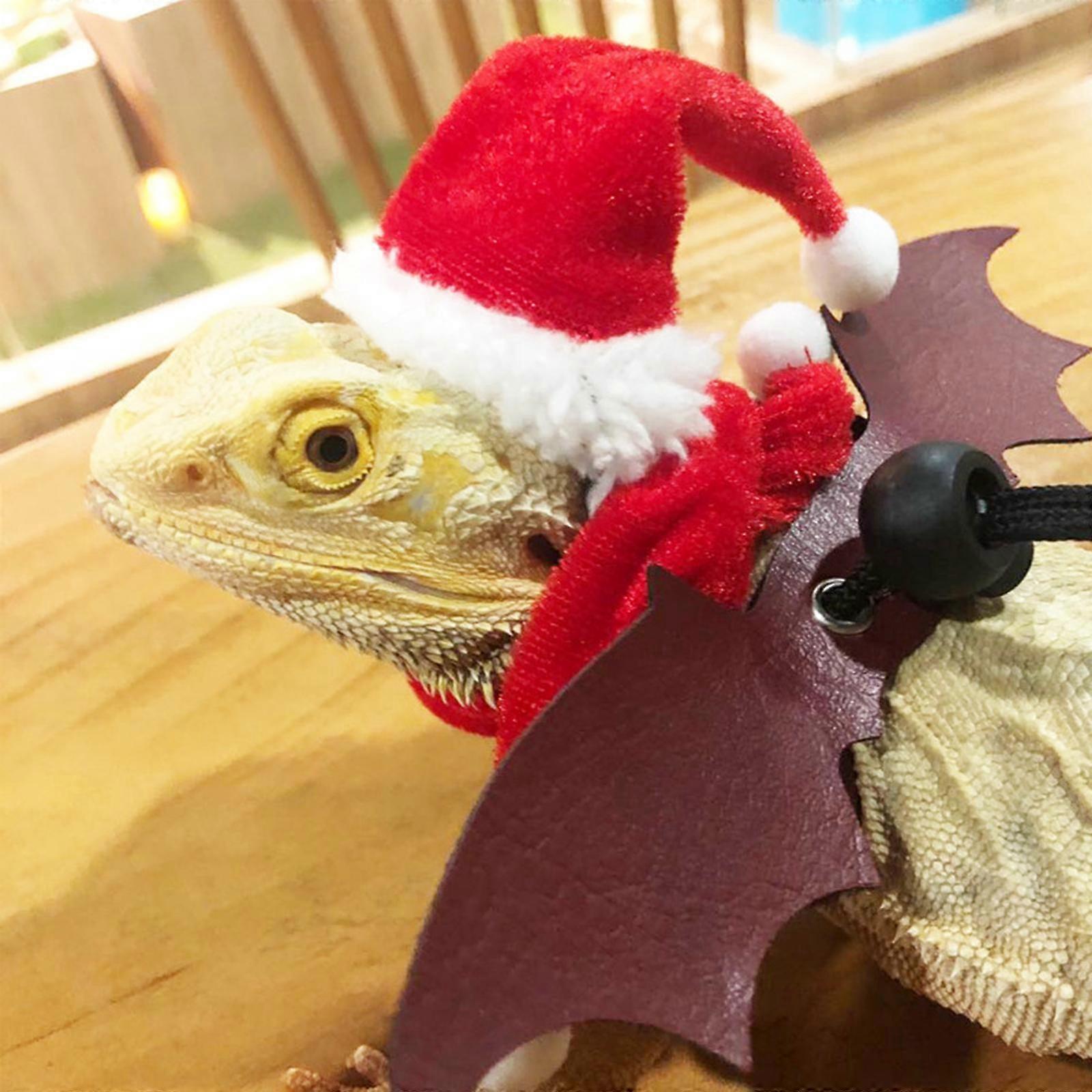 Bartagamen-Weihnachtsmannmütze und Schal-Set, Echsen-Weihnachtskostüm-Set
