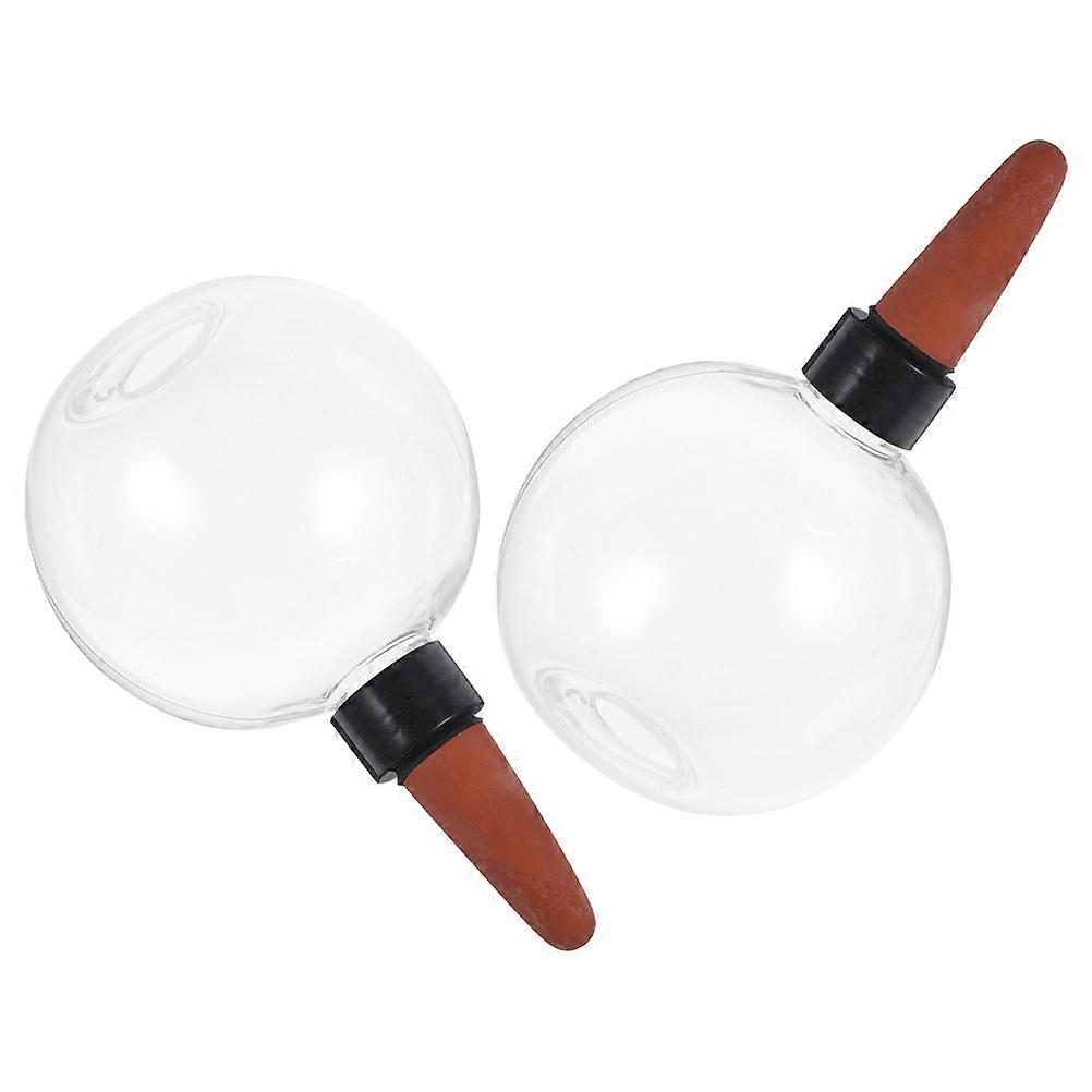 Outdoor Plant Watering Globes Automatic Plant Waterer 2Pcs Set