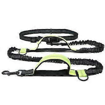 Jogging Dog Leash, Upgrade Hands-free Dog Leash With Two Bungees