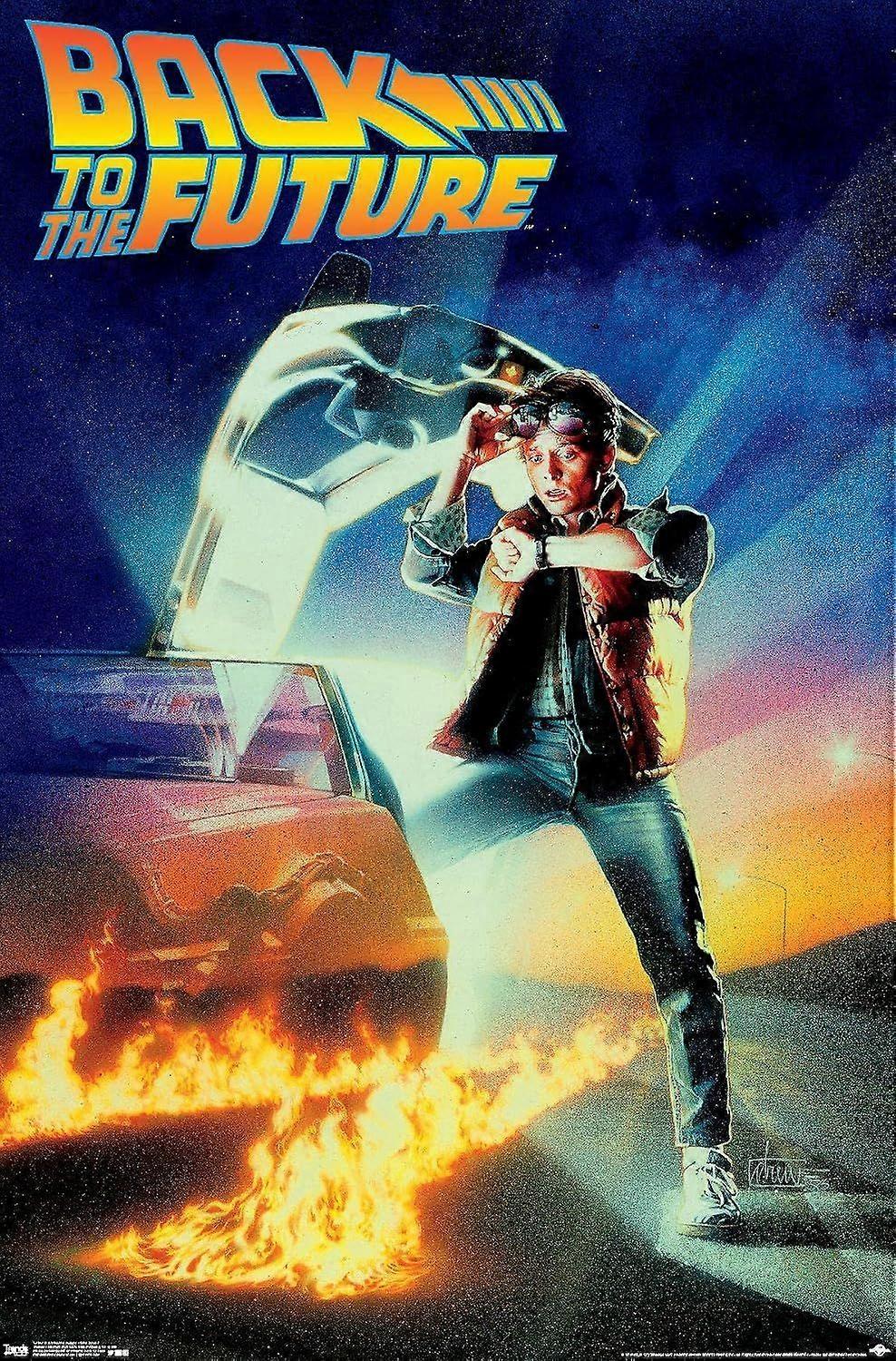 Back to the Future-puzzels FL167
