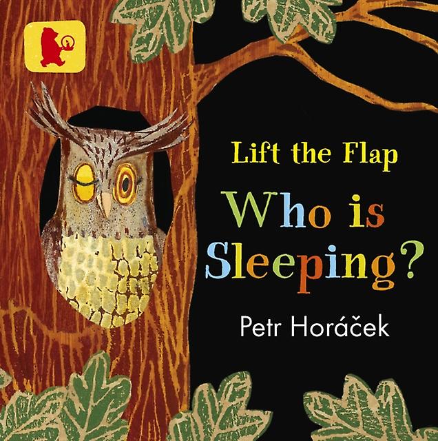 Who Is Sleeping by Petr Horacek Board book Book