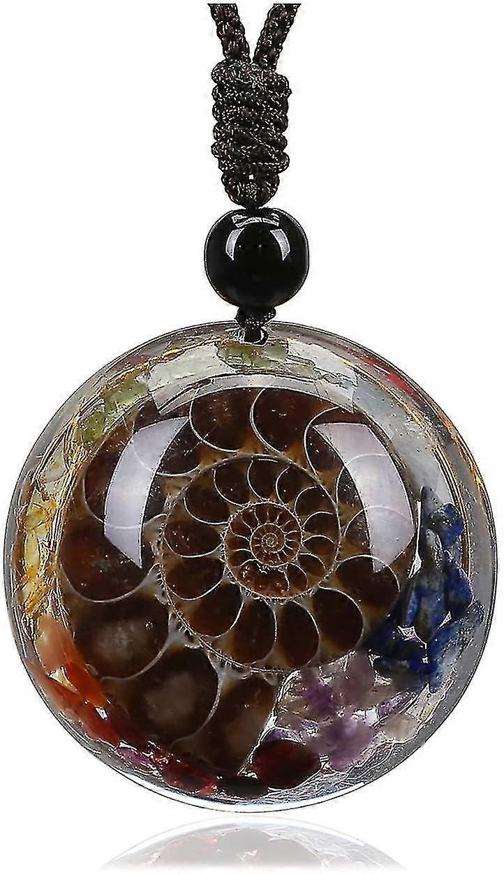 Pendentif fossile d'ammonite pour un cadeau collier en argent