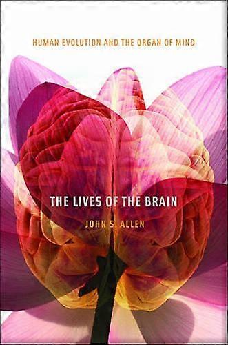 Lives Of The Brain by John S. Allen Paperback