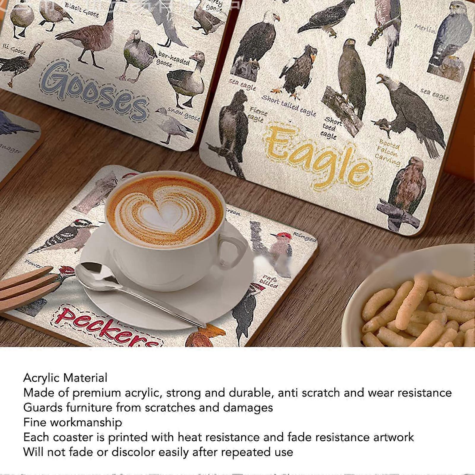 6pcs Bird Pun Coasters Stylish Exquisite Decorative Multi Pattern Rectangular Compact Acrylic Bird Coasters Set