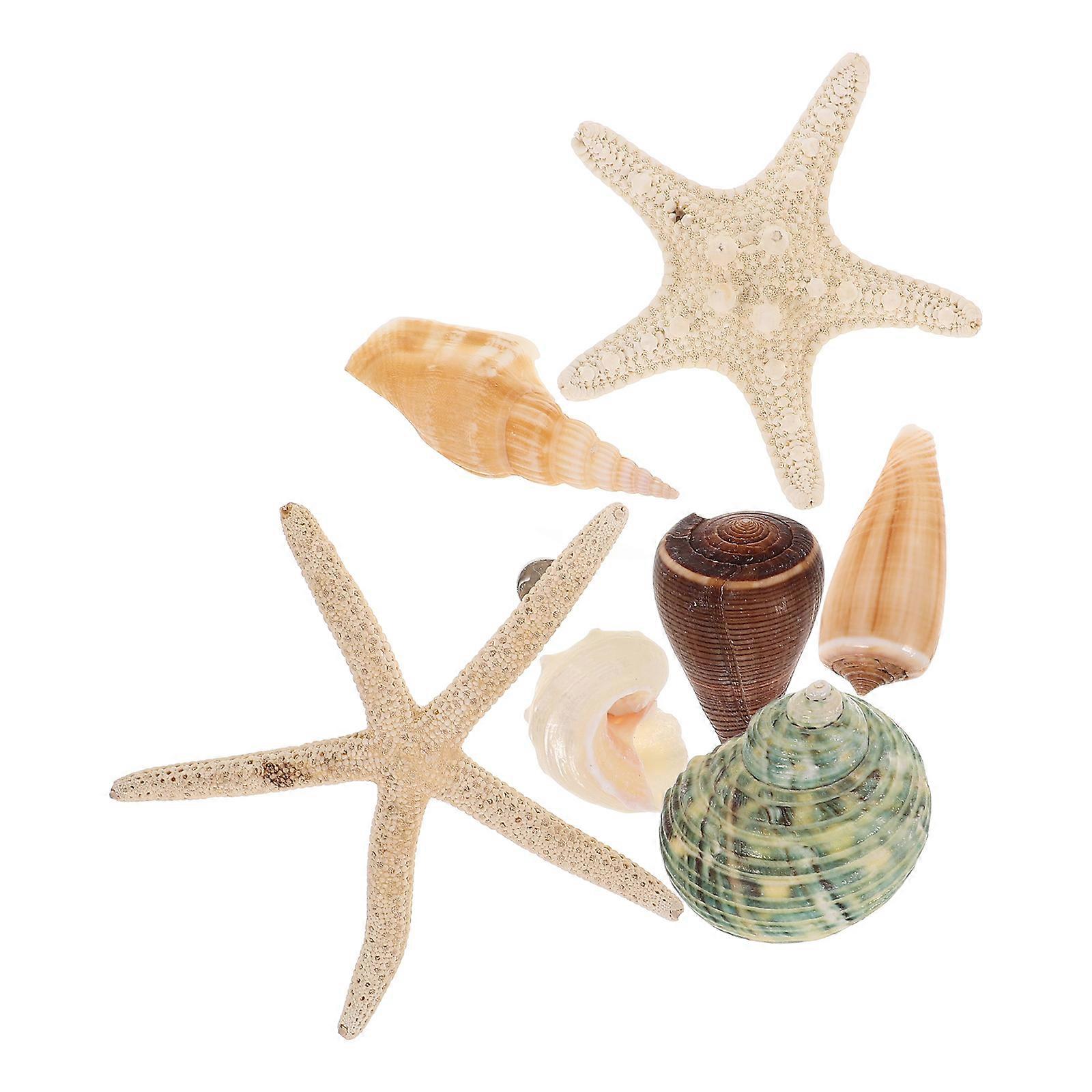 7PCS Magnetic Fridge Stickers Seashell Conch Design Patches (Random Style)