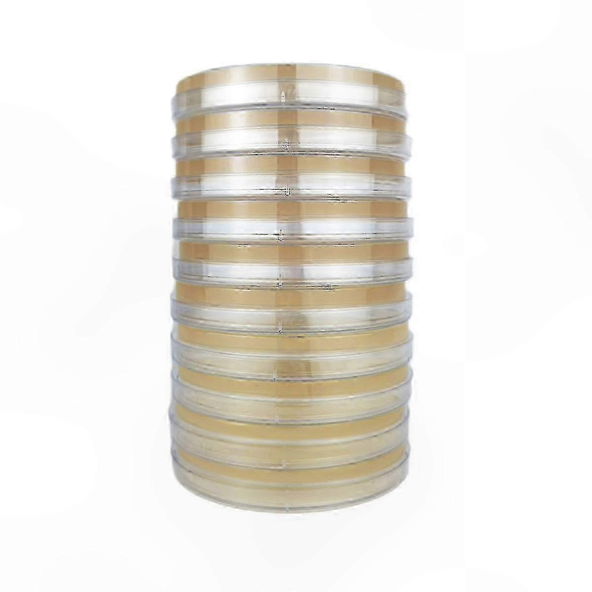 Mushroom Cultivation Agar Plates for Home Lab Testing & Science Projects - 10 Pack