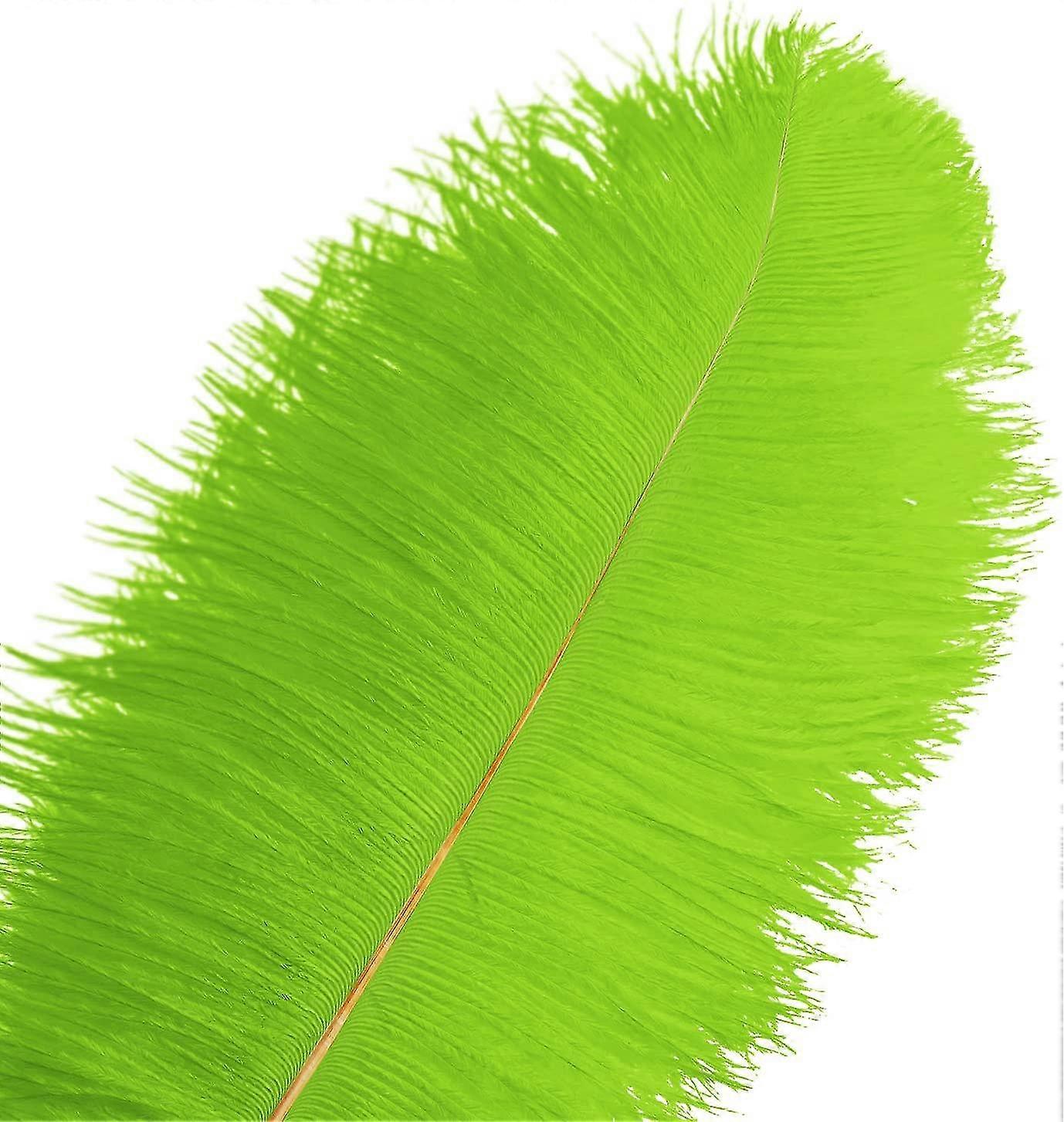 50pcs Ostrich Feathers For Decorations 26s