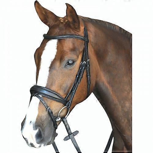 Collegiate Mono Crown Padded Raised Leather Flash Bridle