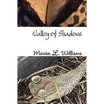 Valley of shadows