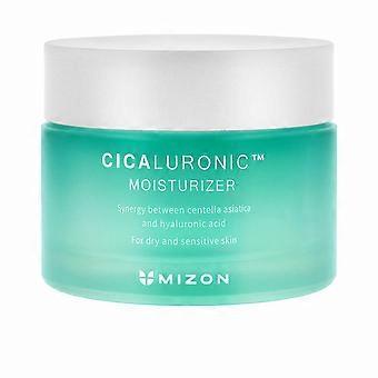 Facial Cream Mizon Cicaluronic 120 ml