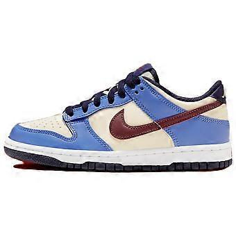 Nike Dunk Low "Från Nike, till dig" GS FV8119-161