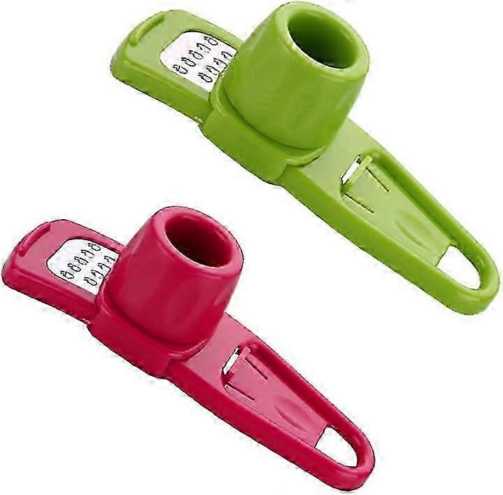 2PCS Practical Garlic Press Chopper Crusher Multi-Function Ginger Squeezer Planing Garlic Tool