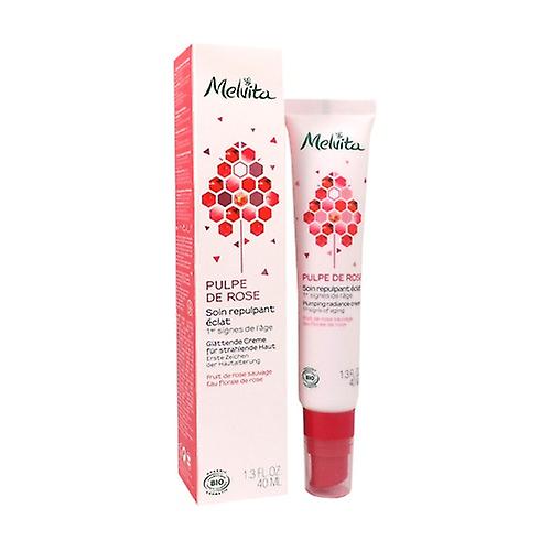Radiance Volumizing Cream 40 ml