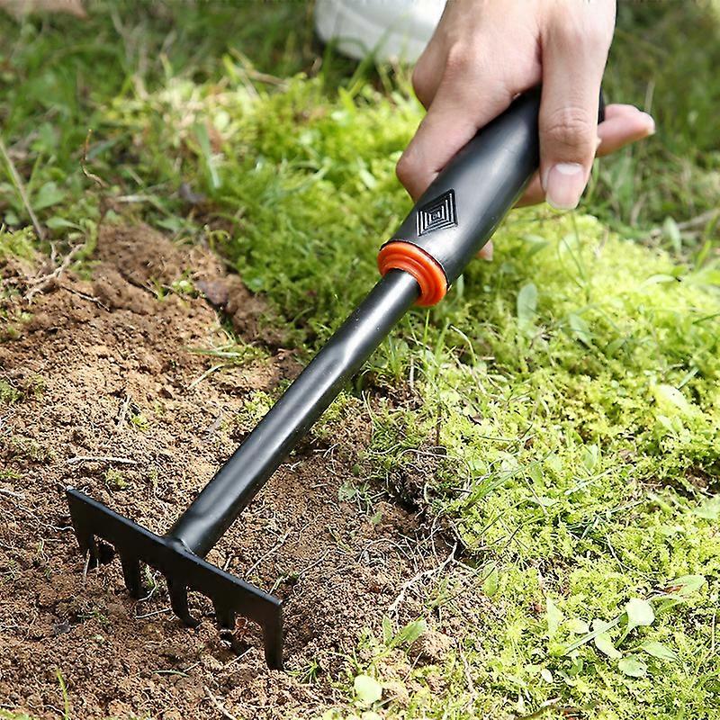 5 tine rake - length 28 cm - black