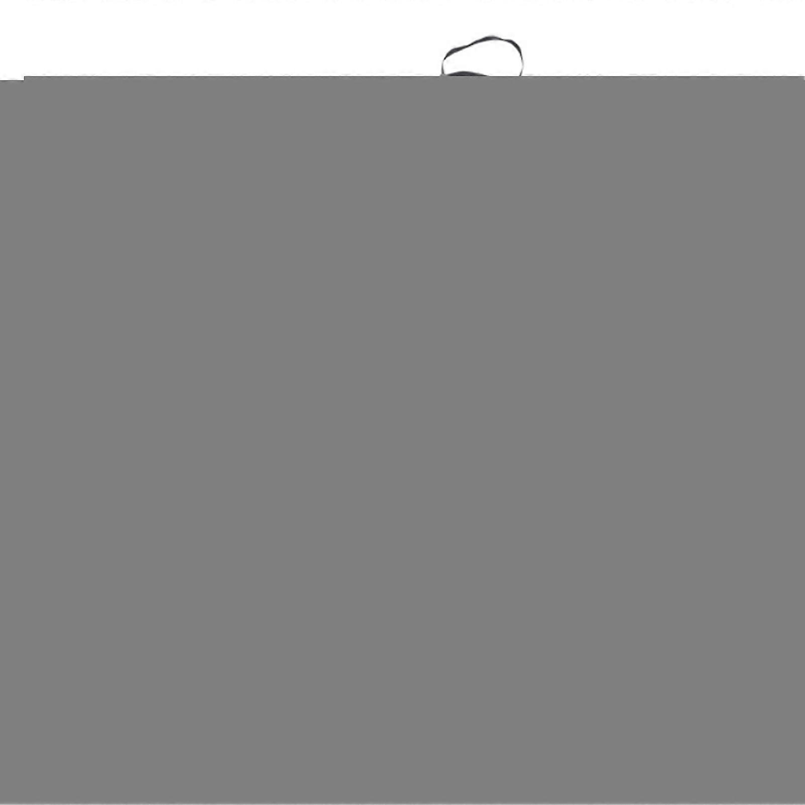 Pickup Truck Cargo Net Cargo Net With Mesh Bungee Net Mesh With Carabiners And Storage Bag Universal Car Organizer Net For Large