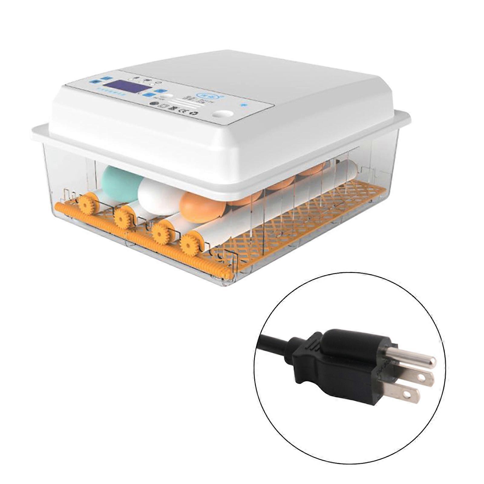 Professional 6 Eggs Incubator Automatic Hatchery Machine Digital Display Birds Brooder Thermostat Breeding Hatching Chicken Duck Farm Incubation Tools