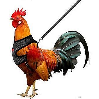 Chicken Harness with Leash Adjustable Breathable Hen Dog Harness Medium (Black)
