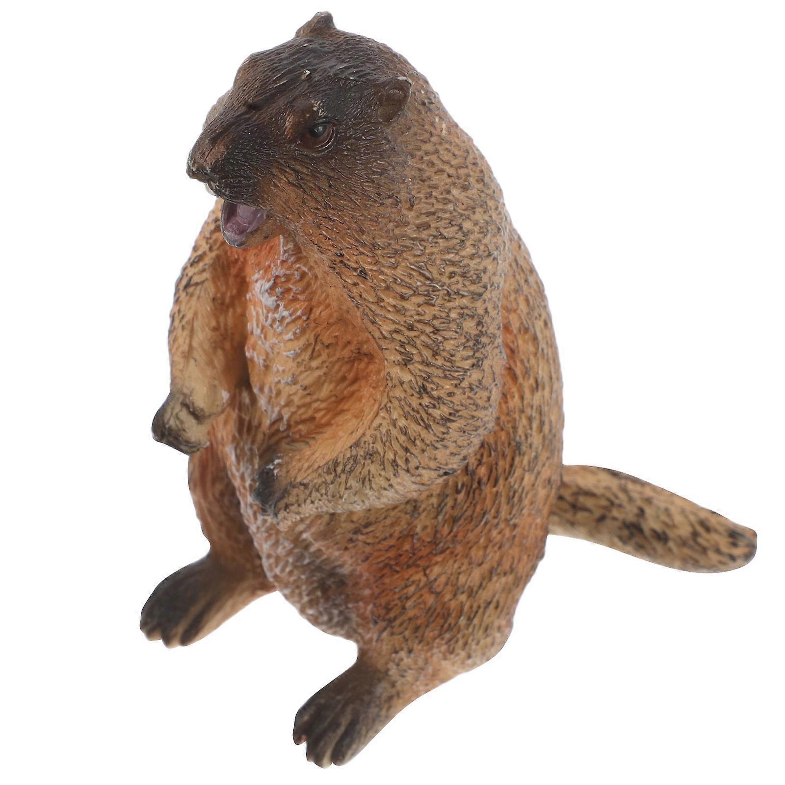 Realistic Standing Groundhog Figurine for Cognitive Development, Educational Wildlife Animal Decor for Home and Office Display