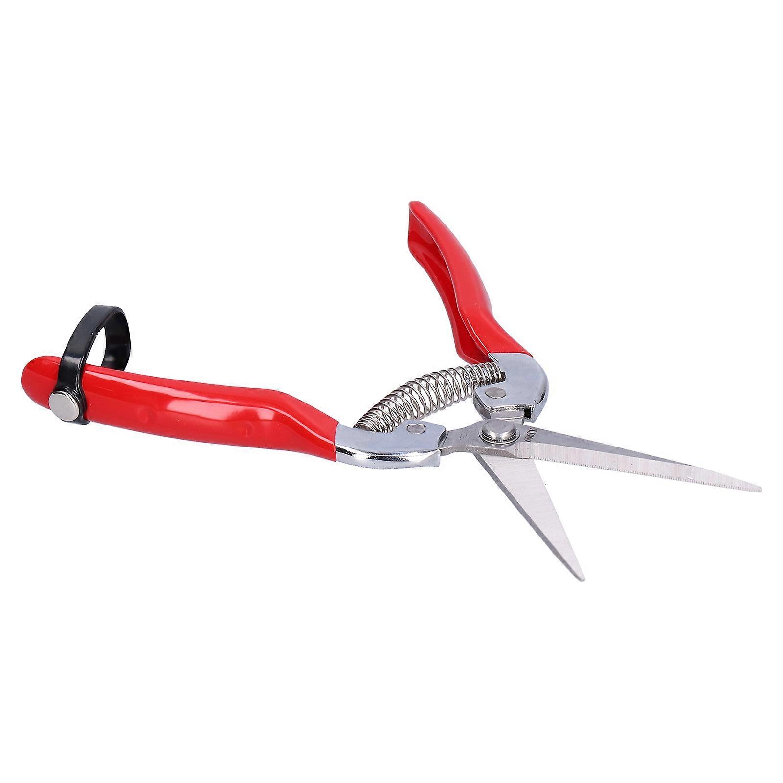 Non-slip handle fruit picking scissors, flower pruning scissors, and gardening scissors