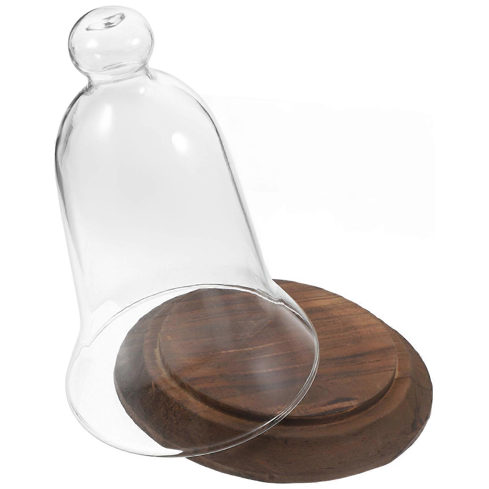 Glass Display Bell Jar for Flower Display Dome Clear Cloche Dome