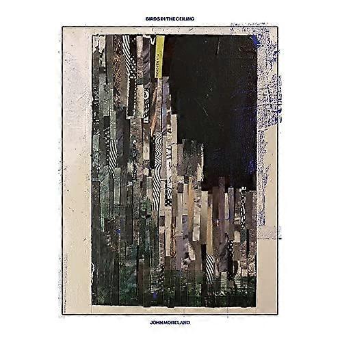 John Moreland - Birds In The Ceiling [VINYL]
