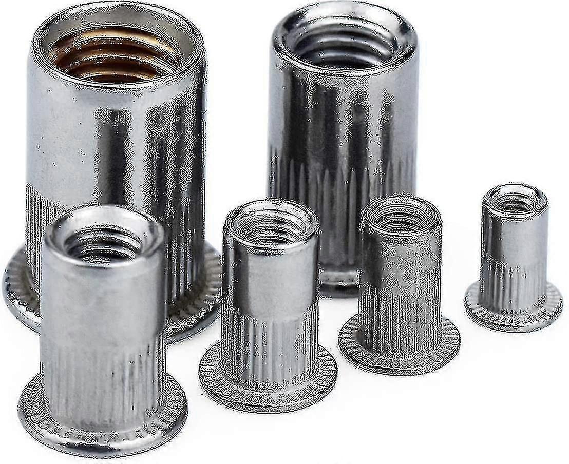 165 Stainless Steel Rivet Nut, Nut Tool Flat Threaded Head Rivet