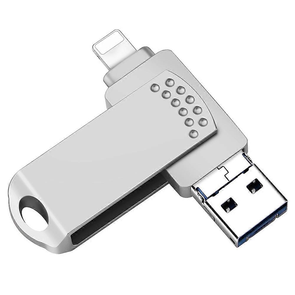 RICHWELL 256GB Large Storage Thumb Drive for iPhone Android Data Storage USB Memory Stick