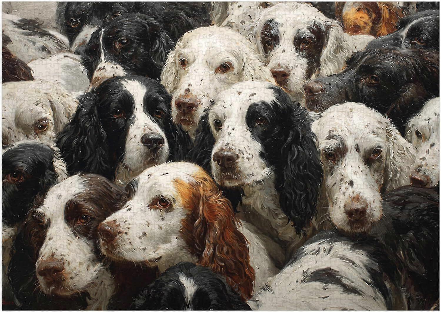 Puzzle Anglický springer španěl SQZ544