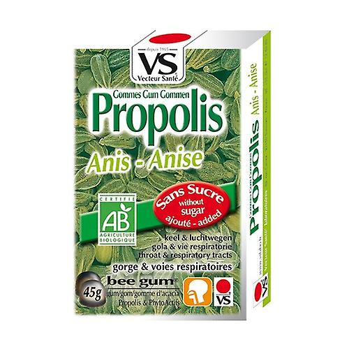 Organic Propolis Anise Erasers without sugar 45 g (Anise)
