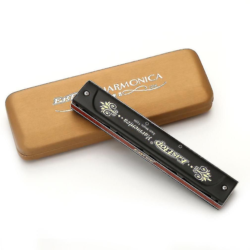 Harmonicas 22 Holes Polyphony Harmonica Matte Surface Key Of C Harmonica Instrument