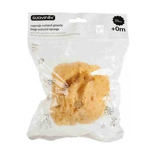 Large Natural Sponge 1 unit