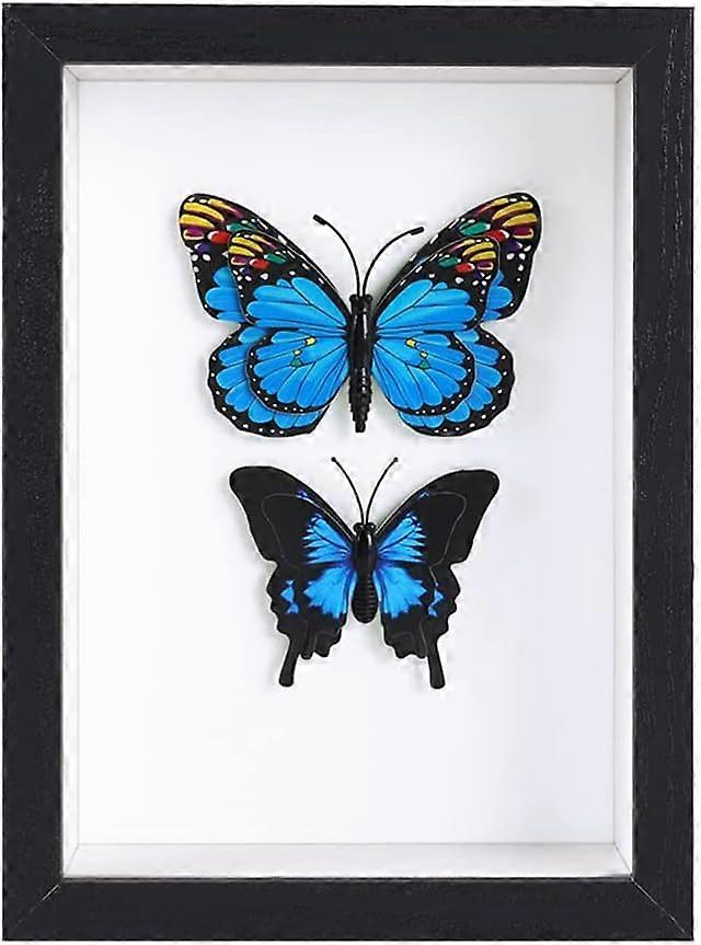 Shadow Box Frames 6x8 Picture Frame with HD Plexiglass Display case for Photos,Flowers,Wedding Bouquets,Awards,Insects and Memorabilia