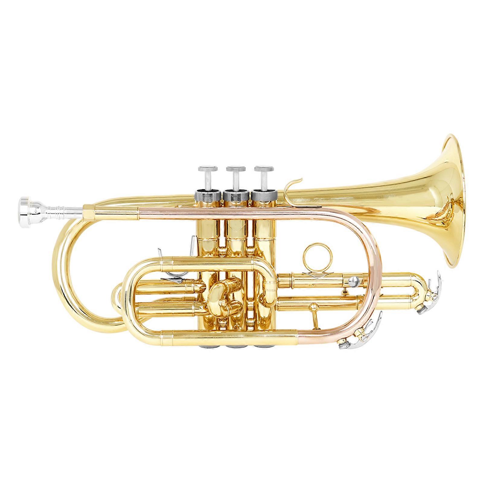 Tromba in Sib Standard, Set di Trombe per Principianti, Strumento Tromba in Ottone con Custodia Rigida Guanti Kit di Pulizia del Bocchino Multicolor